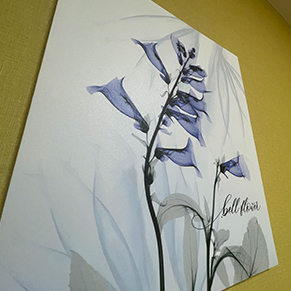 イメージ:館内施設