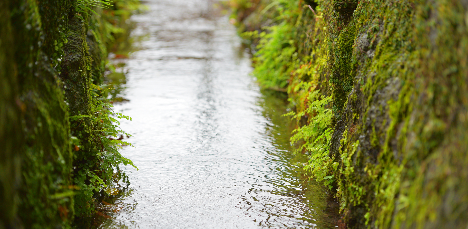ジスコホテル小浜温泉